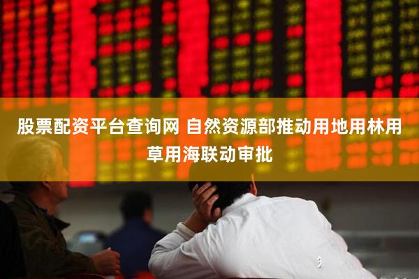 股票配资平台查询网 自然资源部推动用地用林用草用海联动审批