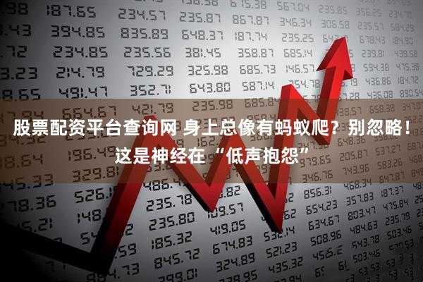 股票配资平台查询网 身上总像有蚂蚁爬？别忽略！这是神经在 “低声抱怨”