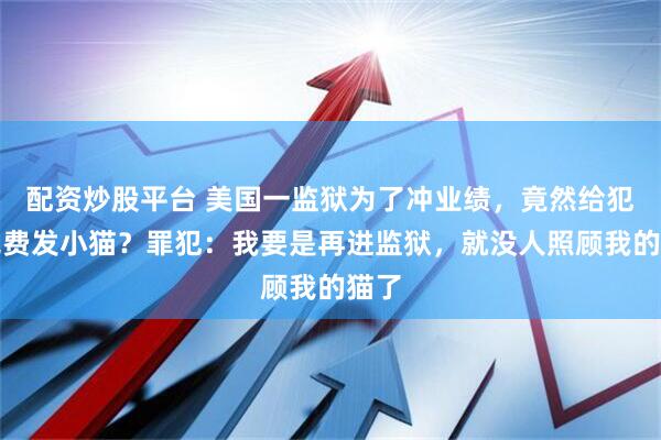 配资炒股平台 美国一监狱为了冲业绩，竟然给犯人免费发小猫？罪犯：我要是再进监狱，就没人照顾我的猫了