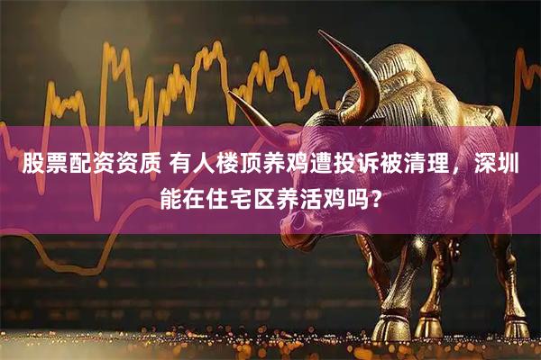 股票配资资质 有人楼顶养鸡遭投诉被清理，深圳能在住宅区养活鸡吗？