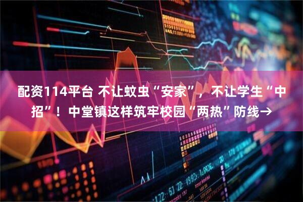 配资114平台 不让蚊虫“安家”，不让学生“中招”！中堂镇这样筑牢校园“两热”防线→